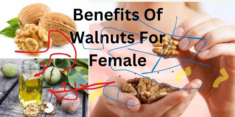 Benefits Of Walnuts For Female-10 Proven Health Benefits