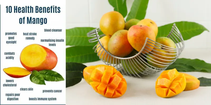 10 Mango Benefits